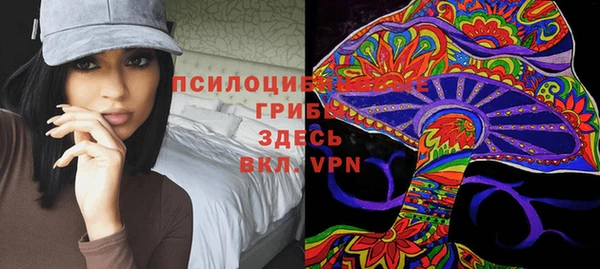 эйфоретик Горно-Алтайск