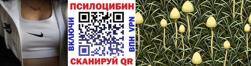 Псилоцибиновые грибы Cubensis  Купить где  Лангепас 